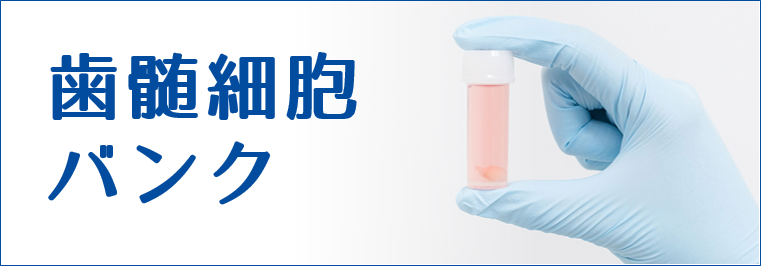 歯髄細胞バンク